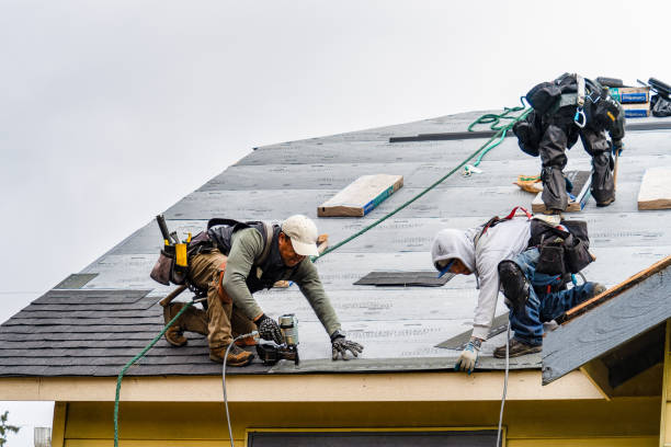 Professional Roofing technician working in Alkol, WV